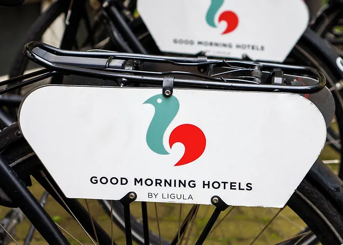 Good Morning Star 3*