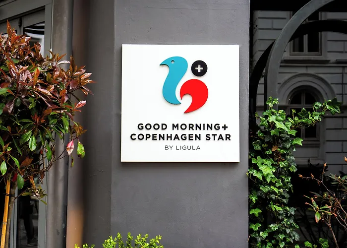 ホテル Good Morning Star 3*