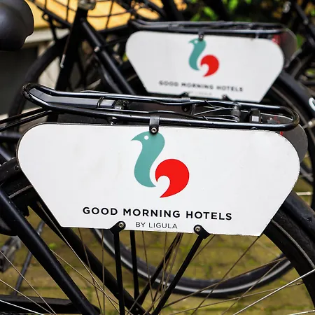 Good Morning Star 3*